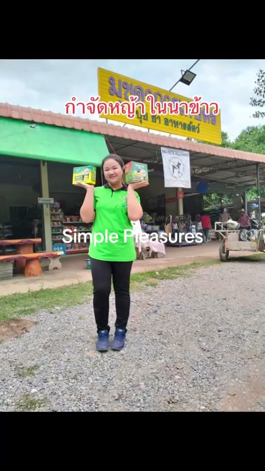 หญ้าในนาข้าวต้องจบ  ลุยข้าว ช่วยคุมวัชพืชในนา ให้ข้าวโตสวย แข็งแรง